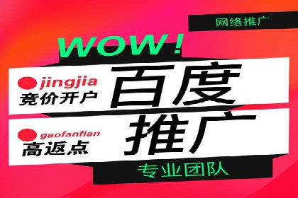 百度竞价代理在某行业的具体应用与效果